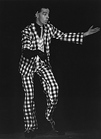 Fats Harness